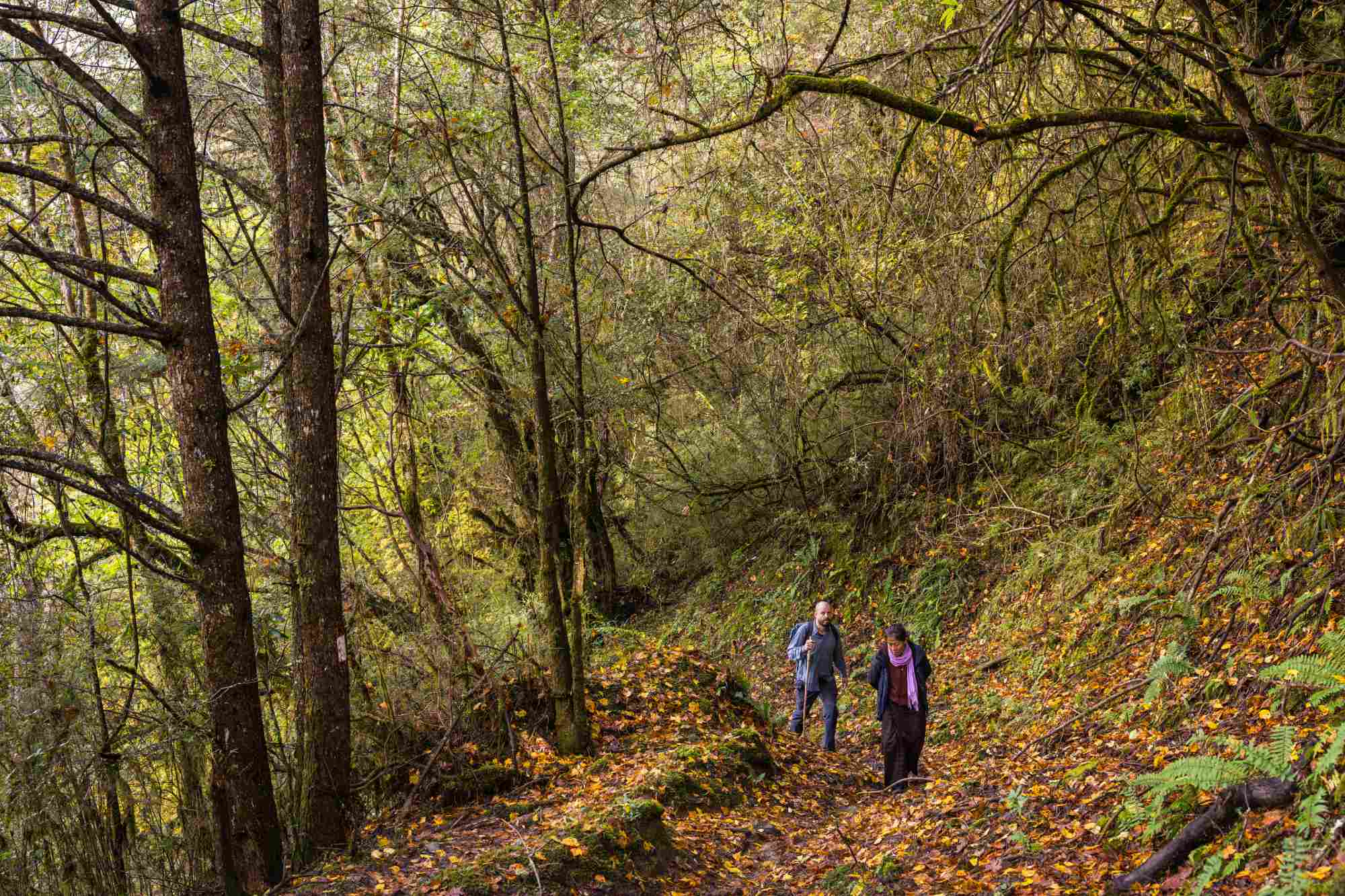 bumthang trek 3
