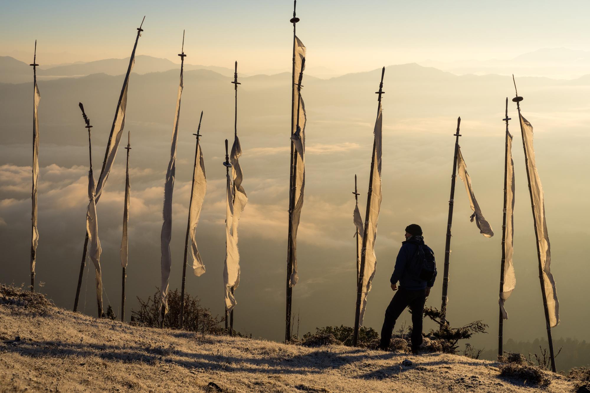 druk path trek 1