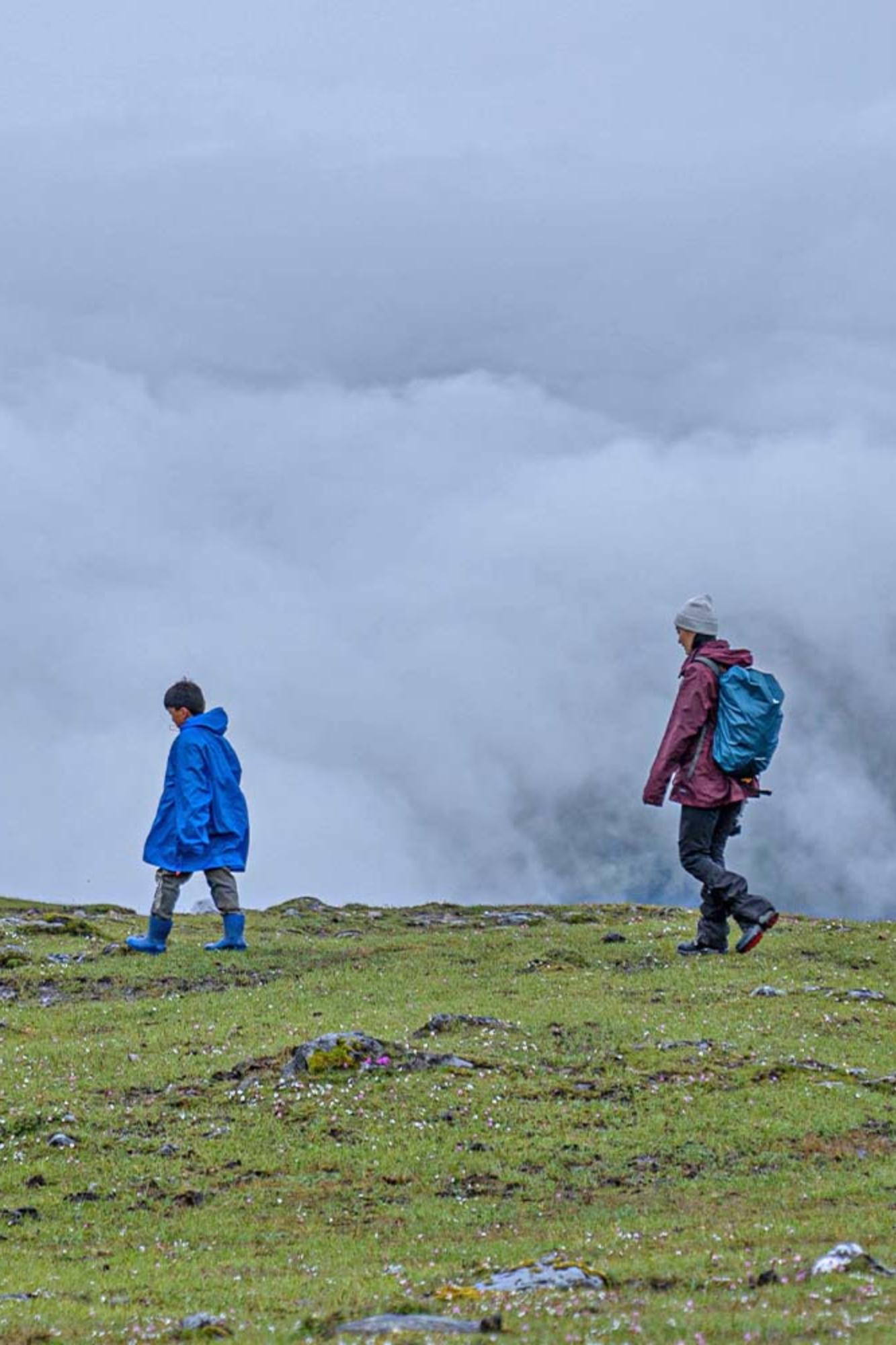 druk path trek 4
