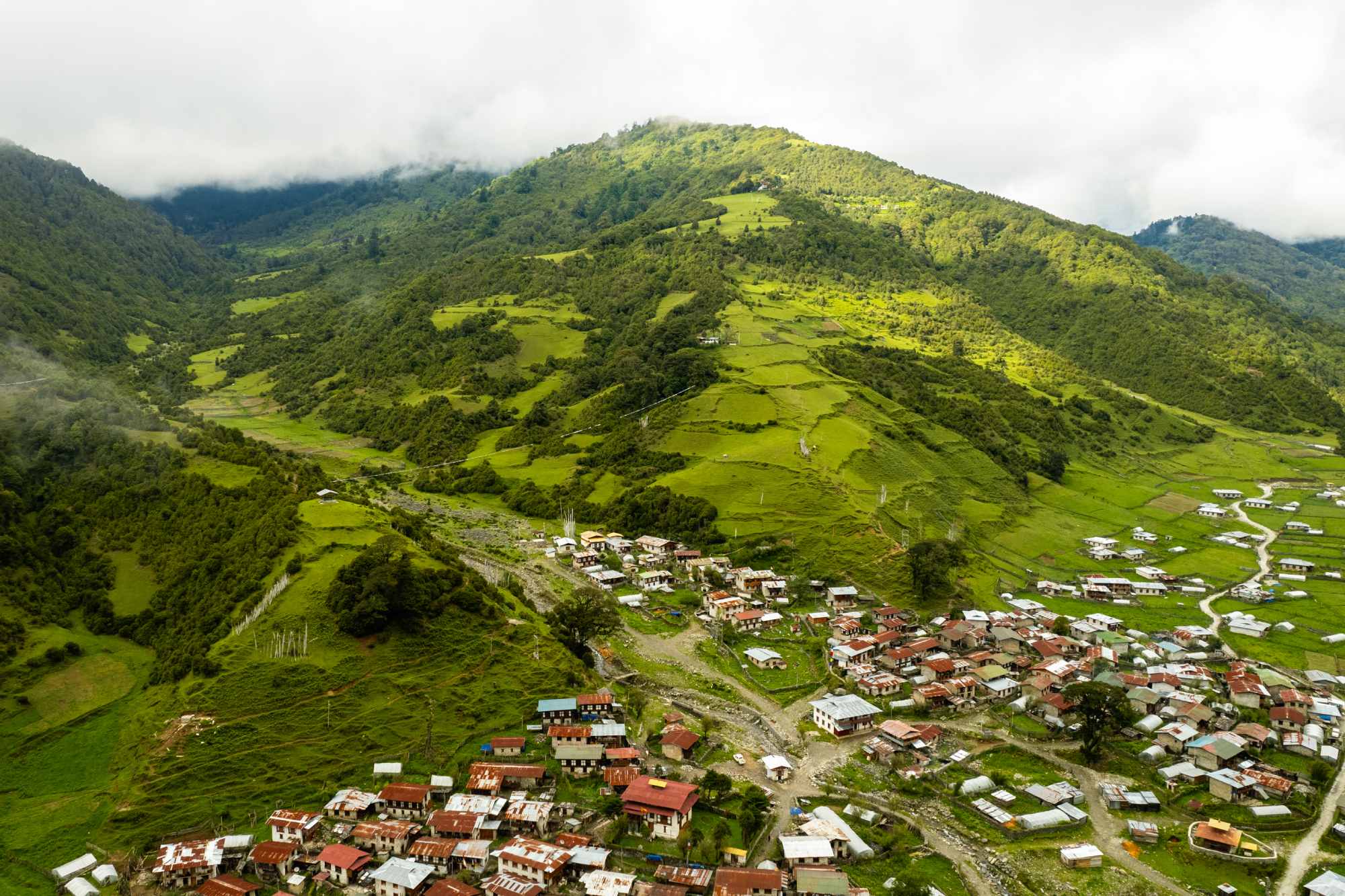 merak trek 4
