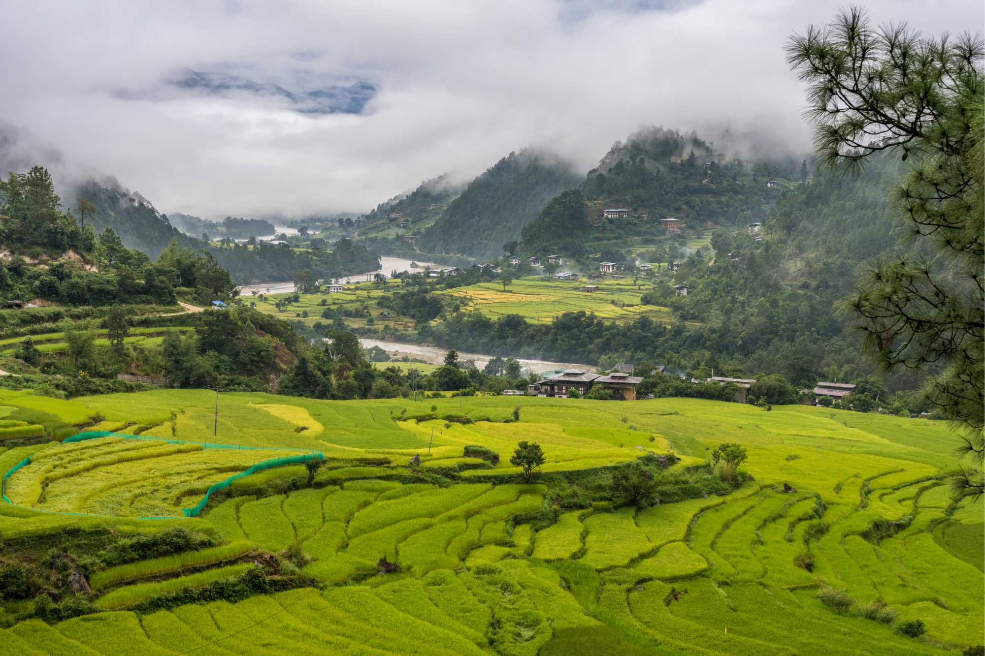punakha valley